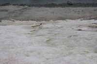
DSC00086
